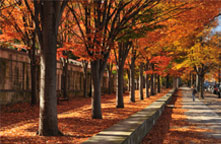 Princeton Financial Aid